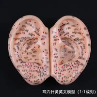 8 Cm Ear Acupuncture Model Auricular Application Ear Acupuncture Points Model  Ear Acupuncture Earpins 1