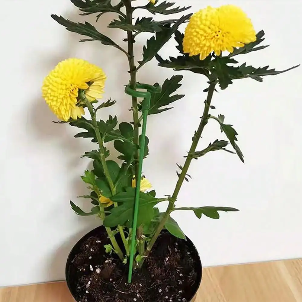 10PCS/Set Plant Support Stakes Single Stem Plant Cage Support Ring Garden Flowers Roses Tomatoes Vegetables Fixing Anti-falling