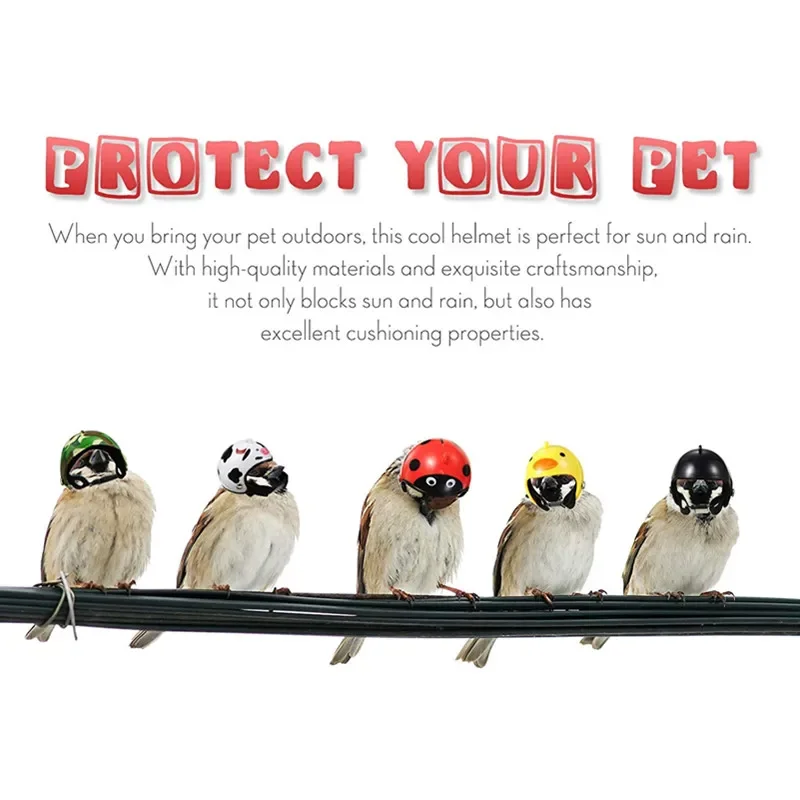 Chicken Helmet Sun Rain Protection Outdoor Henhouse Protective Gear For Hens