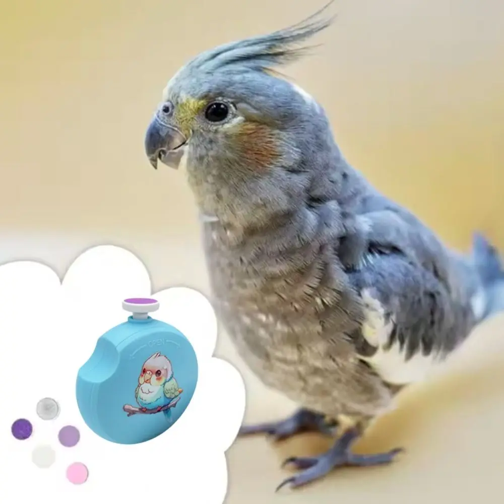 Low Noise Electric Parrot Nail Trimmer Round with 6 Grinding Heads Bird Nail Cutter Mini Parrot Beak Grinder Bird Paw