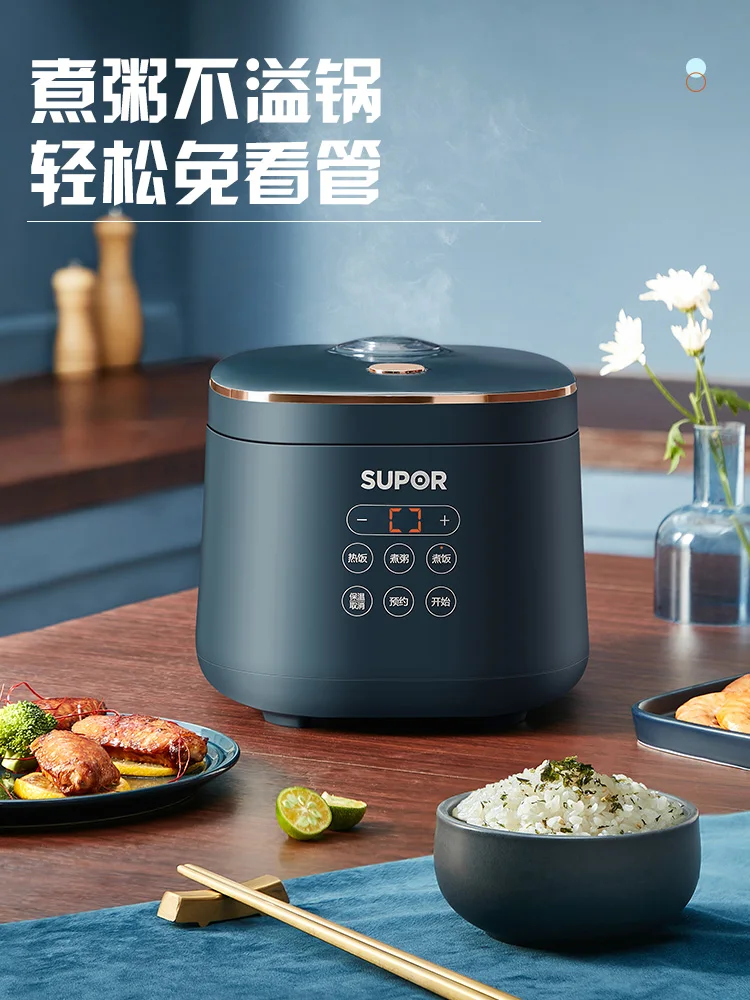 500 Watt Kitchen Appliances Multi Functional Use Electric Rice Cooker 3  Liter