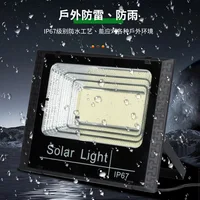 54LED 102LED 170LED 250LED Solar Flood Light Outdoor IP67 Waterproof Reflector Solar Solar Powered Spotlight With Remote Control 1