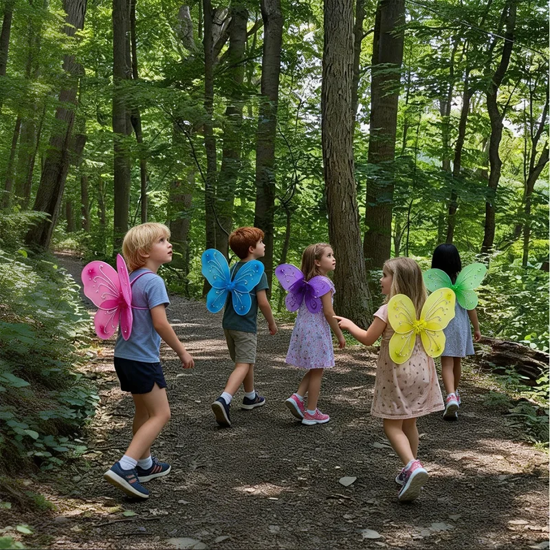 Kids Butterfly Fairy Wings Set 5