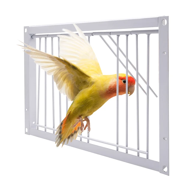 Porta Trappola Per Piccioni 40x26 Cm - In Ferro Verniciato Per Gabbie E Voliere - Foto 10