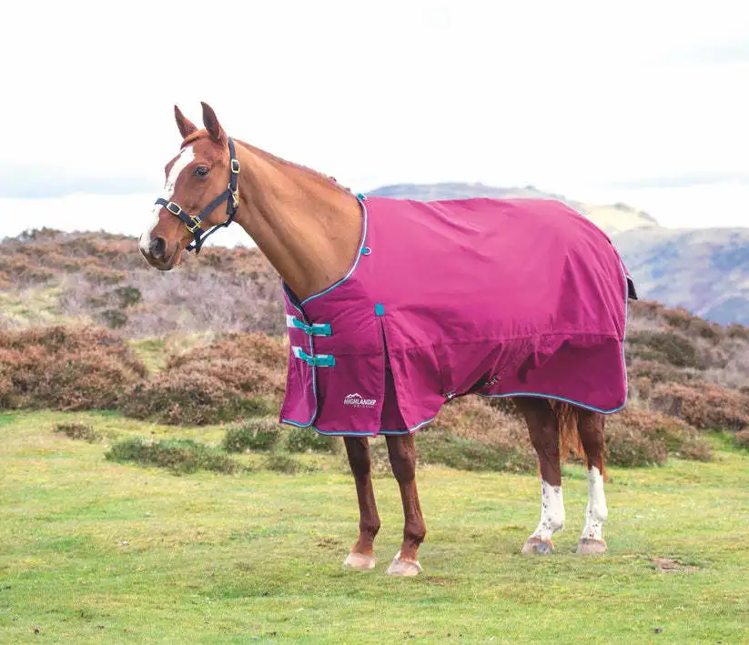 Horse Blanket Standard Mesh Sheet Blanket Magnet Horse Rug