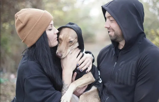 Adidog Dog Hoodie for Large Dogs 6