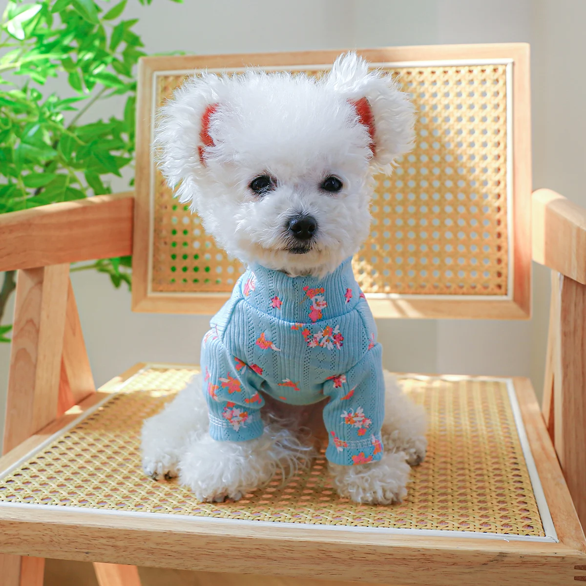 PETCIRCLE Dog Clothes Floral Sweater For Small Medium Dog Puppy Cat All Seasons Pet Clothing Costume Pet Supplies Shirt Coat