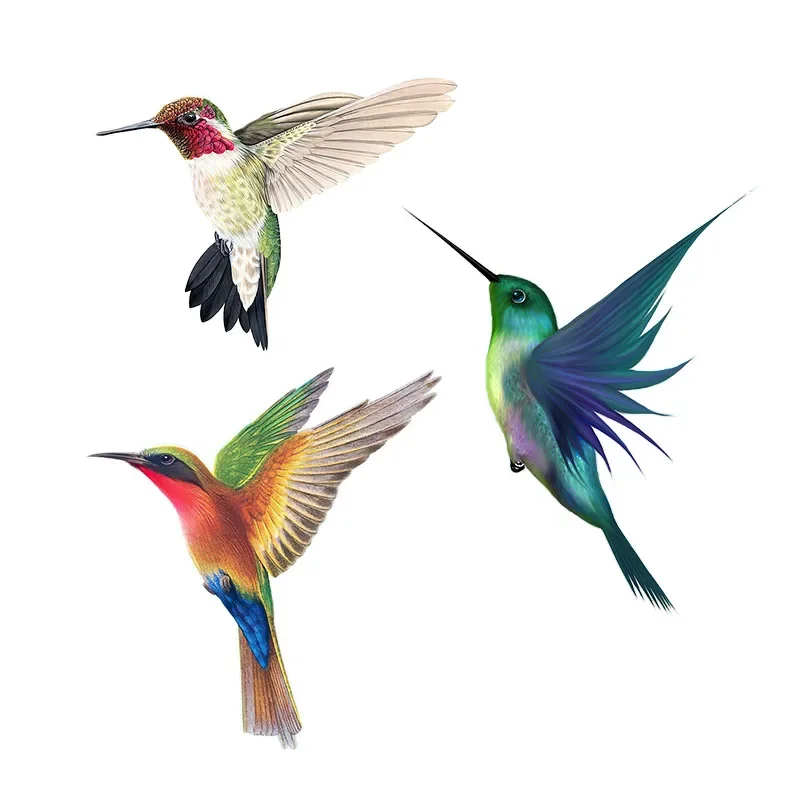 Wall Stickers Toilet Stickers Hummingbird Hand Painted Bird Sticker for Home Decoration