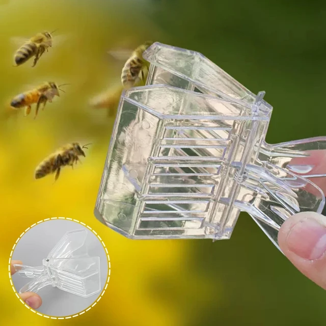 Queen Bee Catcher Ketrec Méhészek Rofesszionális Méhész Eszköz Műanyag Átlátszó Méhcsapda Clip Professzionális Méhészeti - Image 3