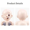 3D Montessori Puzzle Mannequin Human Anatomy Model Children's Learning Organs Toys Educational Body Learning Tools 5