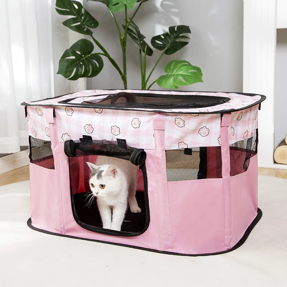 CatDeliveryRoomwithFoldableDesignProvidesaSafeSpaceforMama