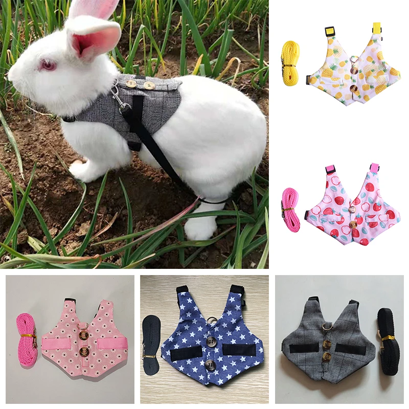Rabbit Harnesses Vest Leash Set Guinea Pig Hamsters Bunny Outdoor