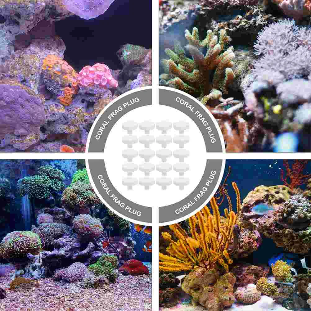 3 Pcs Coral Plug Holder Pedestal Fish Tank Decorations Aquarium Ornaments Pet Products Plugs Coral Base T Shaped Support