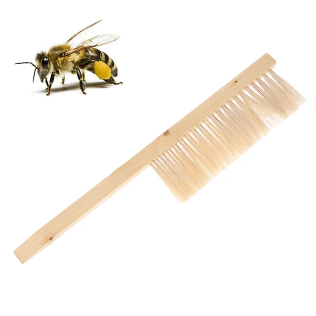 Méhészeti Szerszámok Fa Mézes Kefe Wasp Méh Söpörj Két Sor Ló Farok Hajat Új Méhkefe Méhész Felszerelés