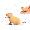 Capybara 1