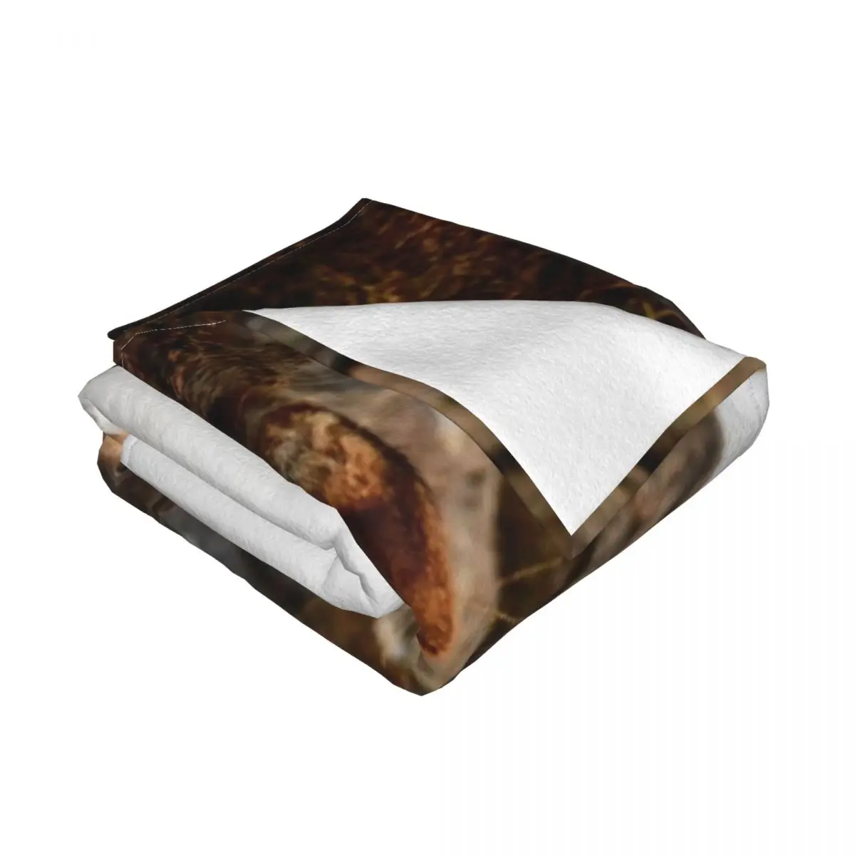 �� ������ ���, ���� ���, �߷�Ÿ�� ���� ���̵��