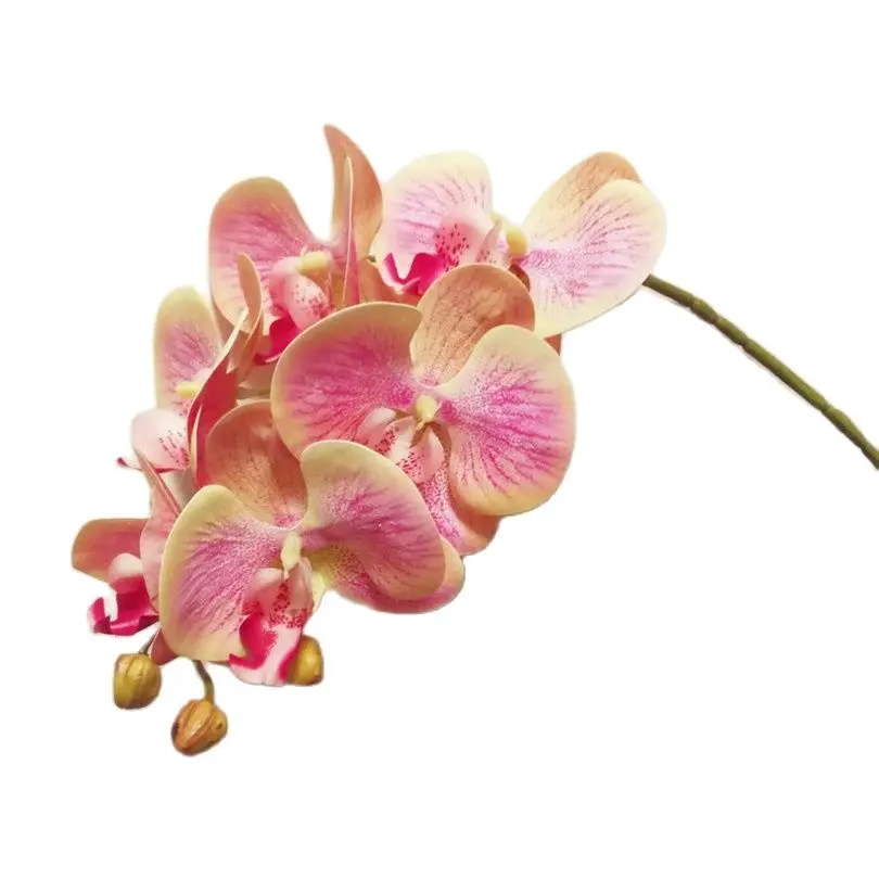 5P Real Touch Farfalla Orchidea Fiore Rosa Cymbidium Pu 3D Pianta Orchidee Phalaenopsis Orchidee Per Fiori Decorativi Artificiali