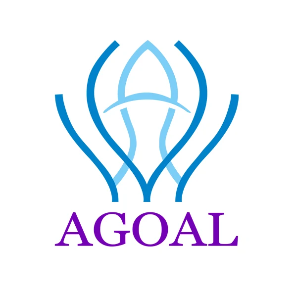 AGOAL Welding Store