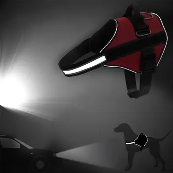 Harnais Anti-Traction Personnalisé - Confort & Sécurité Maximale - 2026 - Doglovedesign : Vêtement et accessoires pour chiens