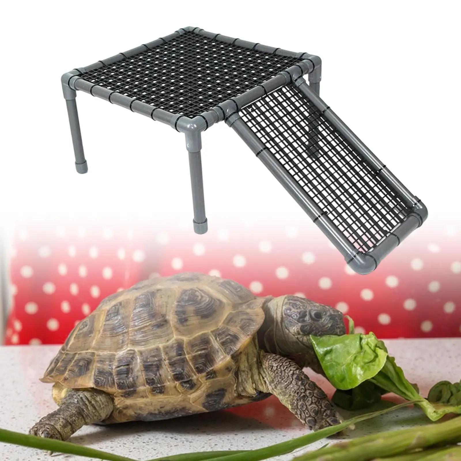 Turtle Basking Platform Reptile Habitat Climbing Shelf for Frog Semi Aquatic Animals Small Reptiles Tortoises Salamanders