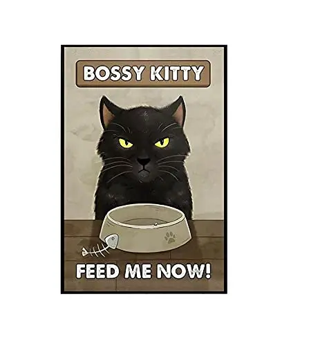 

Retro Tin Signs Vintage Black cat Bossy Kitty Feed me Now Metal Sign Decor Tin Aluminum Sign Wall Art Metal Poster for Kitchen H