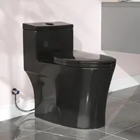 Elongated One Piece Toilet Black Compact Modern Toilet with Comfortable Seat Height ADA Chair Height 17.3" Power Dual Flush 1