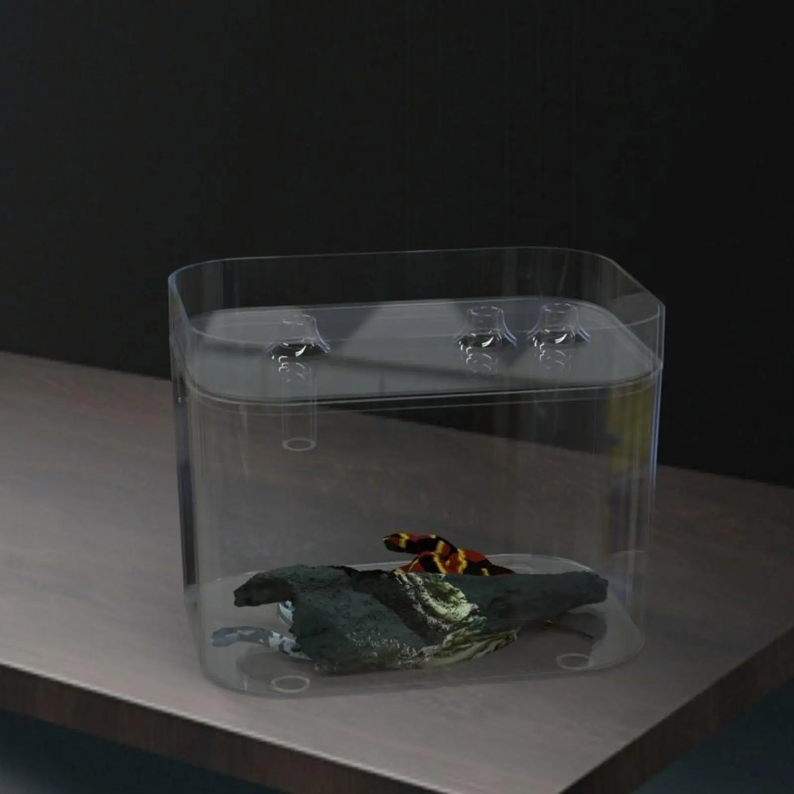 파충류 테라리움 액세서리 PET 소재 투명 뱀 사육 상자 미니 서식지 케이지 (거북이 먹이통 및 용품 포함)