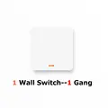 Only 1 Switch--1Gang