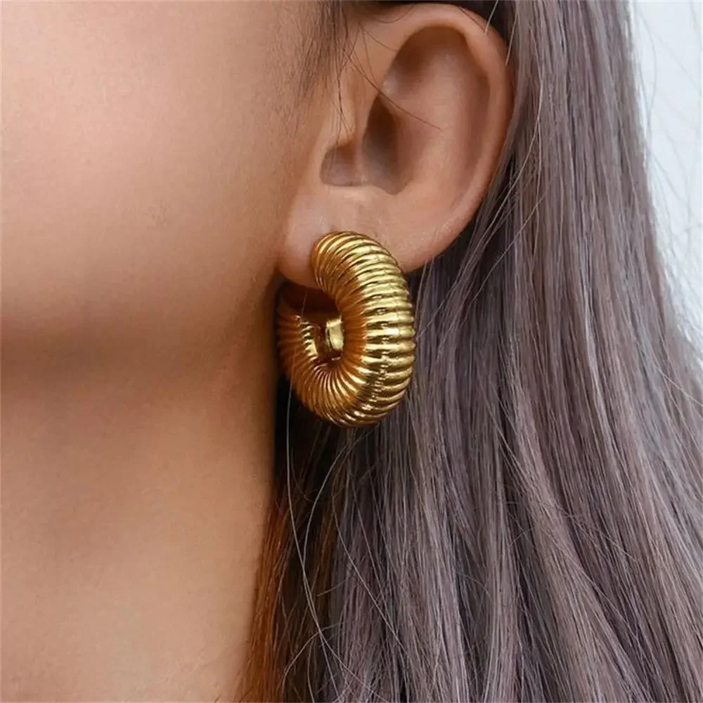 Vintage Stainless Steel Chunky Twist C Shape Earrings for Women Anti Allergic Smooth Metal Circle Huggie Ear Hoop Jewelry Серьги