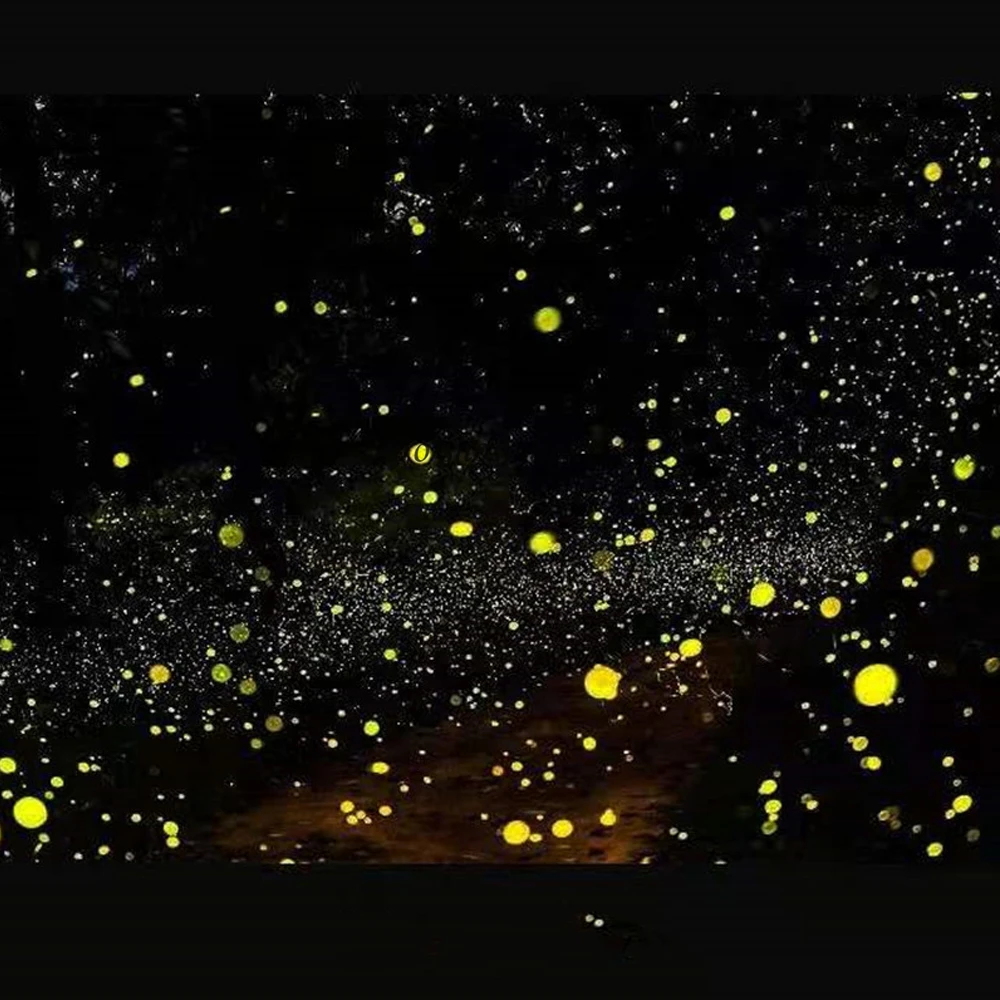 Firefly Laser Light IP65 Waterproof Laser Christmas Light Outdoor Garden Lights Projector for Patio Garden Home Room Decor