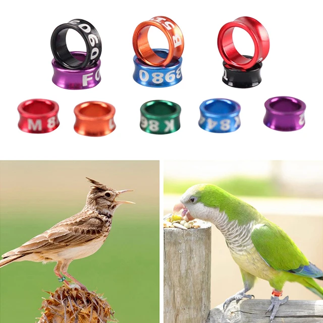 Leg Ring Bands Rings Pigeon Foot Birds Identification Poultry Bird Racing  Parrot Chicken Country Name Band Tags Budgie - Walmart.com