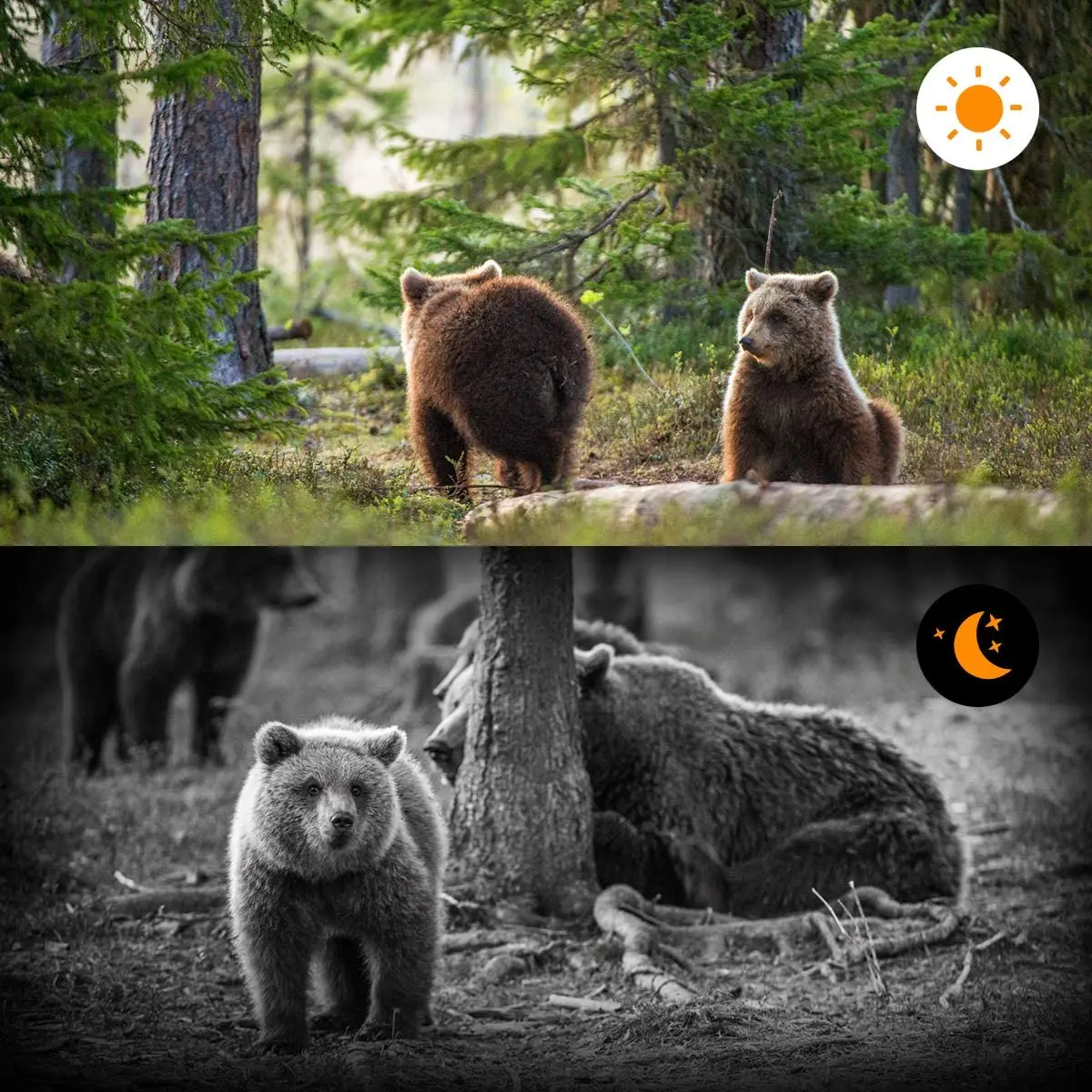 24MP Trail Camera Hunting Cameras HC802A  1080P IP65 Waterproof  Wildlife Surveillance Night Vision Tracking Photo Trap Cams