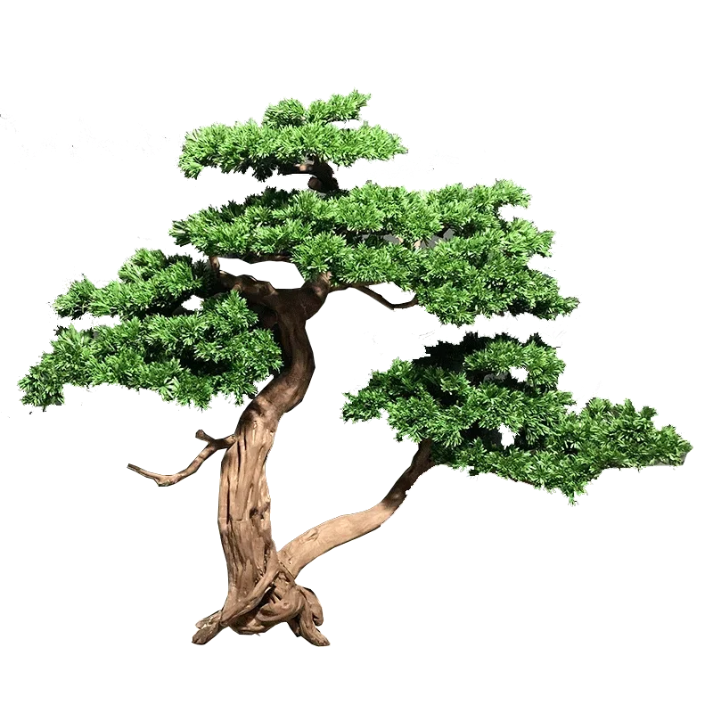 Simulation Podocarpus Macrophyllus Tree Welcome Beauty Pine Tree Soft Decoration Hallway Landscape Decoration Zen Ornament