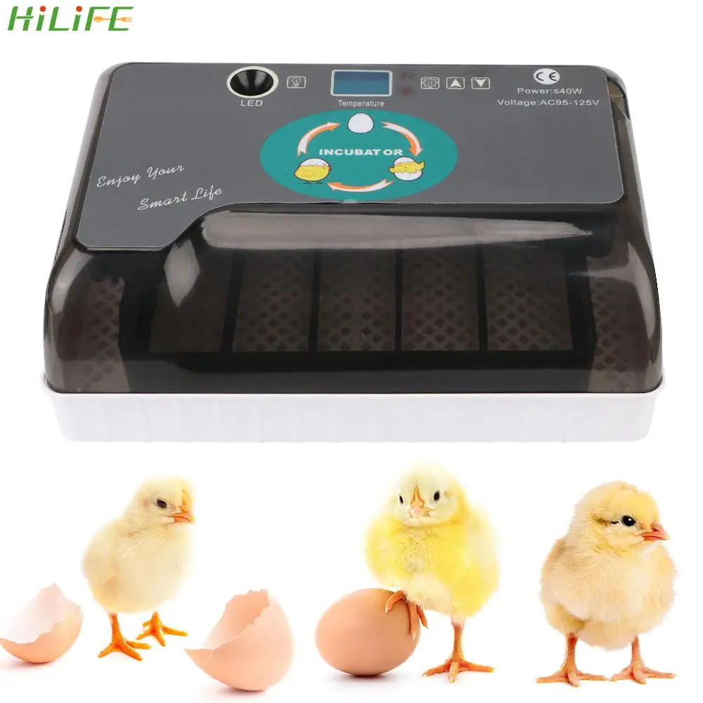 

Automatic Eggs Incubator Cheap Price Chicken Bird Quail Brooder 4-35 Egg Hatchers Farm Hatchery Pet Products