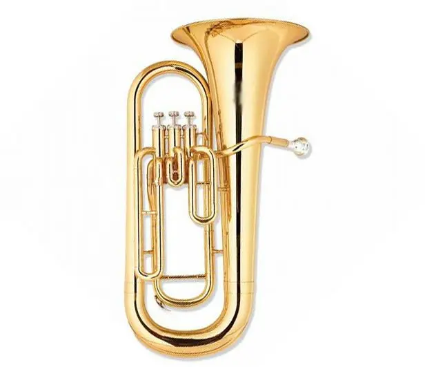 Strumento Euphonium/Baritone/Ottone Per Banda
