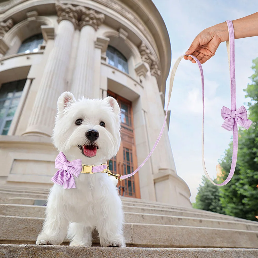Cute Dog Collar Leash Set With Bowknot Soft Velvet - PeticaDeals