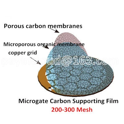 Scanning electron microscopy (SEM) images of stainless steel cloth