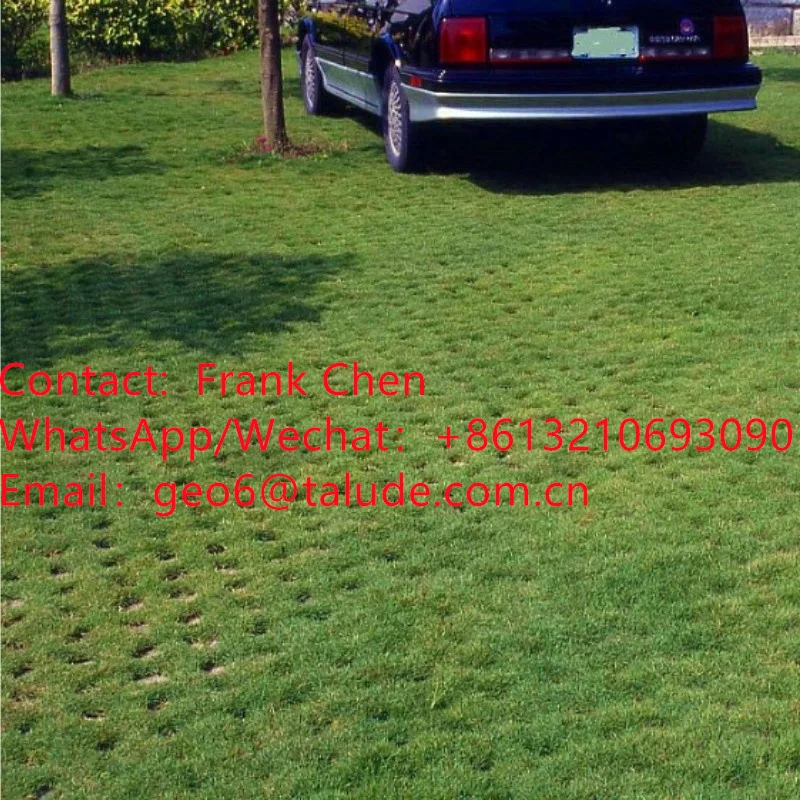 Plastic Grid for Parking on Grass / Plastic Ground Reinforcement Grids for  Gravel - China Plastic Grid, Stabilisation Grid Ground