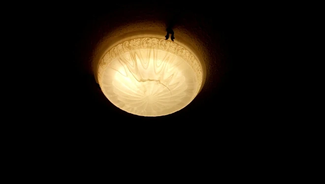LED Ceiling Lamp Lamp ceiling Light AC 110V 220V 240V fixture