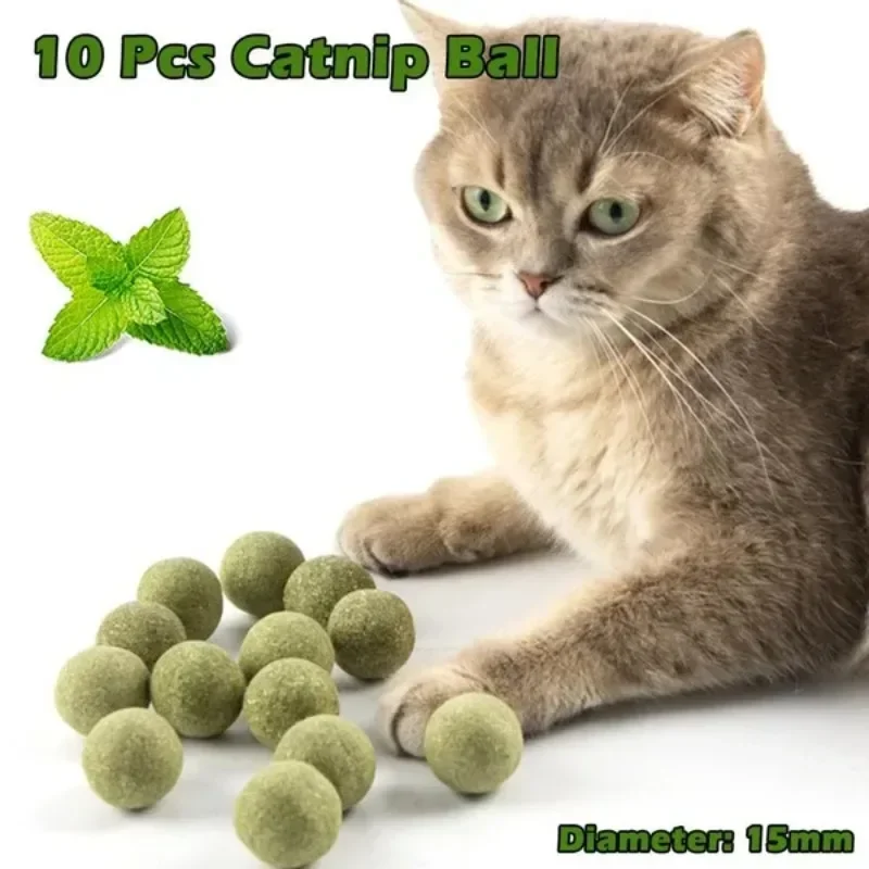 10 Pcs 15mm Healthy Natural Mint Ball Catnip Ball Playing Toy Molars Supplies Pet Snacks Cat Supplies pet toys cat toy cat mint treats