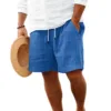 2024 Men's Summer Shorts New Cotton And Linen Comfortable Striped Multi-Pocket Casual Hawaiian Beach Shorts 4