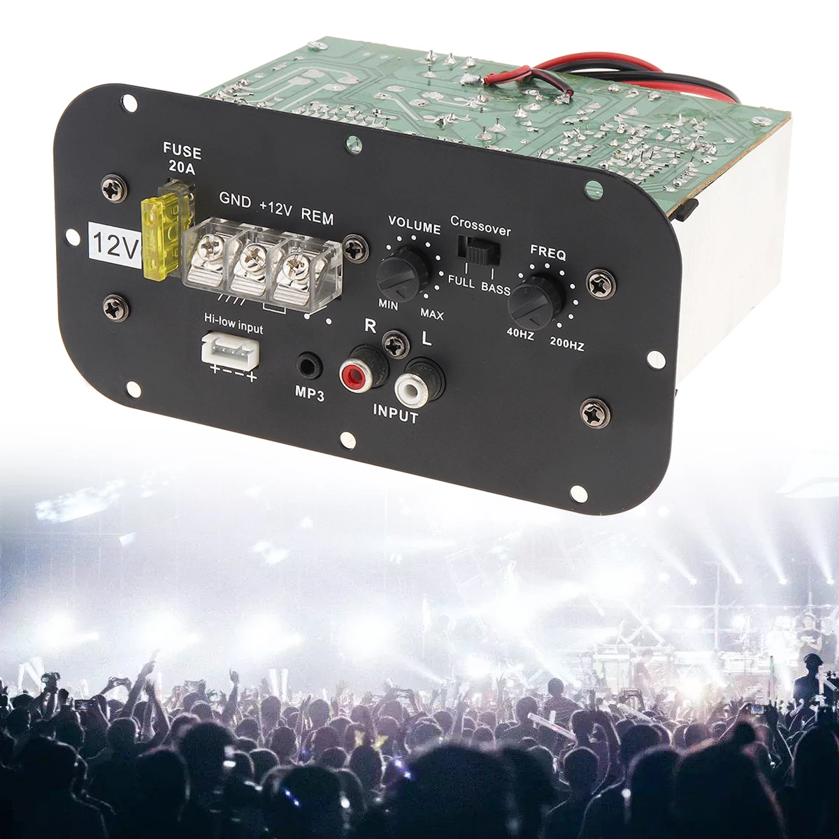 12V 150W Powerful Bass Subwoofer Car Audio High Power Amplifier Board for 6 /8 /10 Inch Car