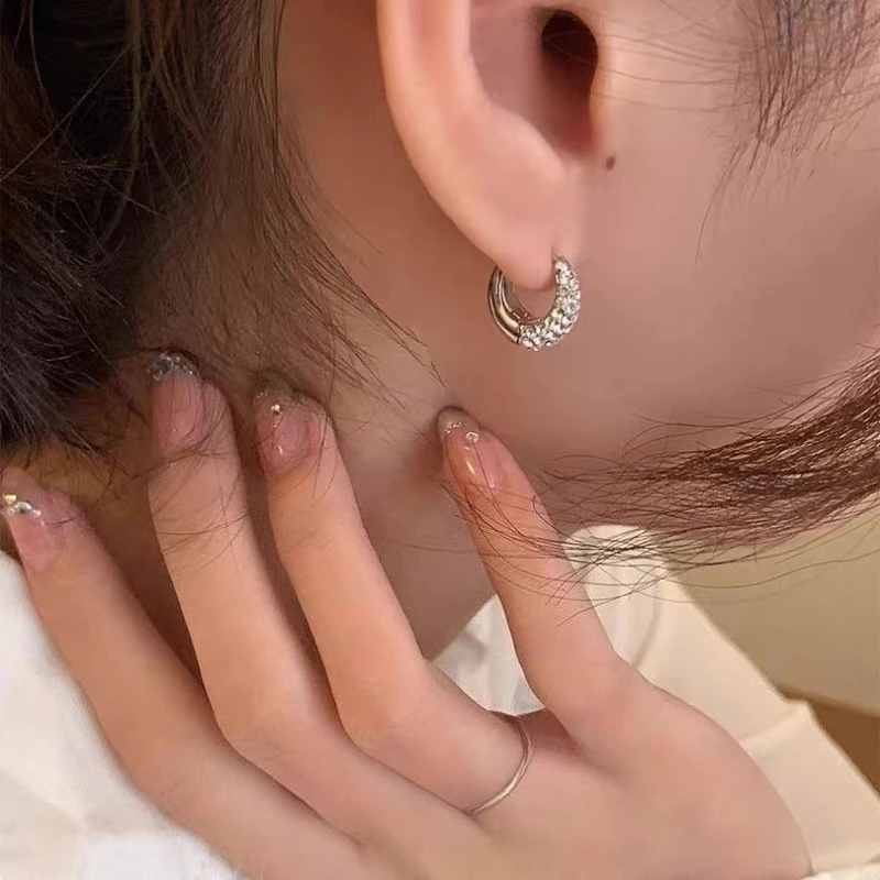 925 Silver Exquisite Zircon Earrings 2026 New Style Fashionable Elegant High End Design Luxurious Earrings for Women - 2