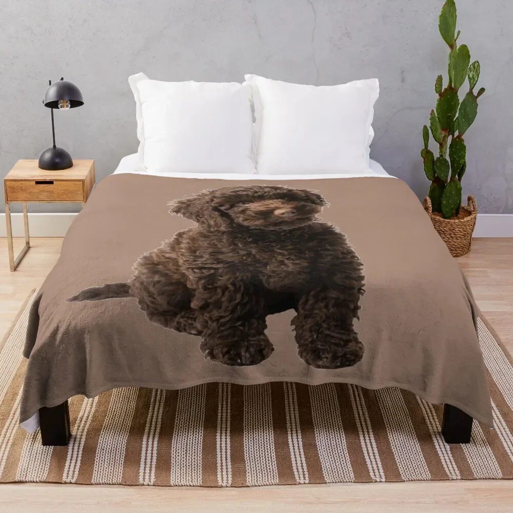 

Labradoodle Throw Blanket Thins Luxury Thicken Camping Blankets