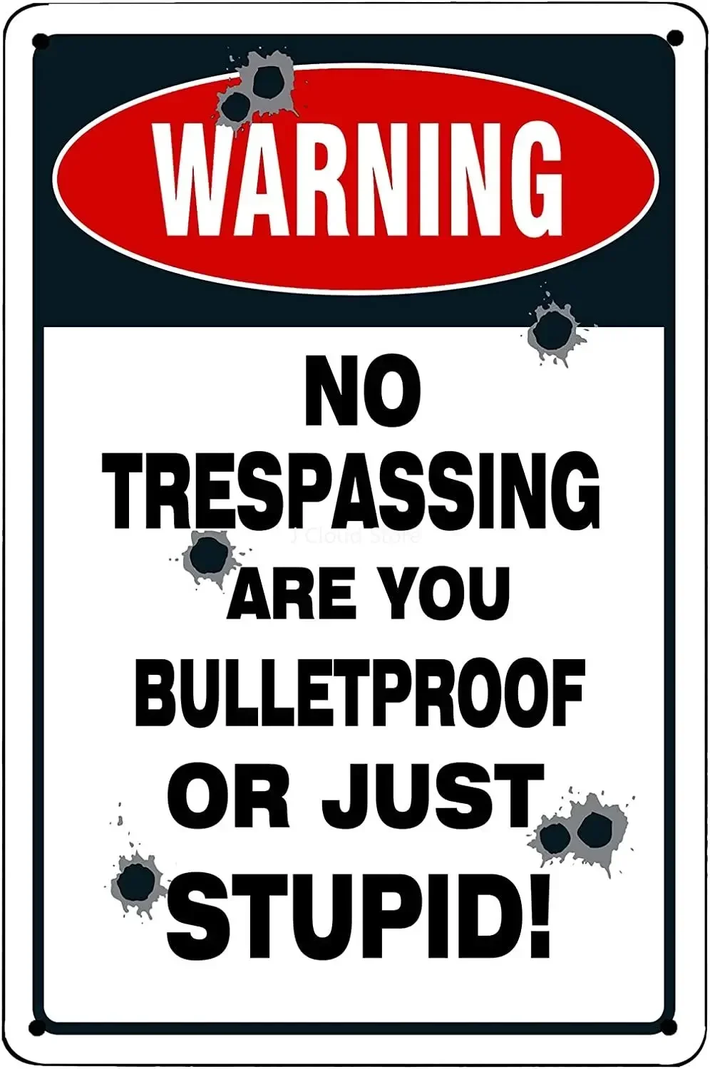

Warning No Trespassing are You Bulletproof or Just Stupid Funny Sarcastic Bar Sign for Man Cave Home Decor 8 X 12 Inch