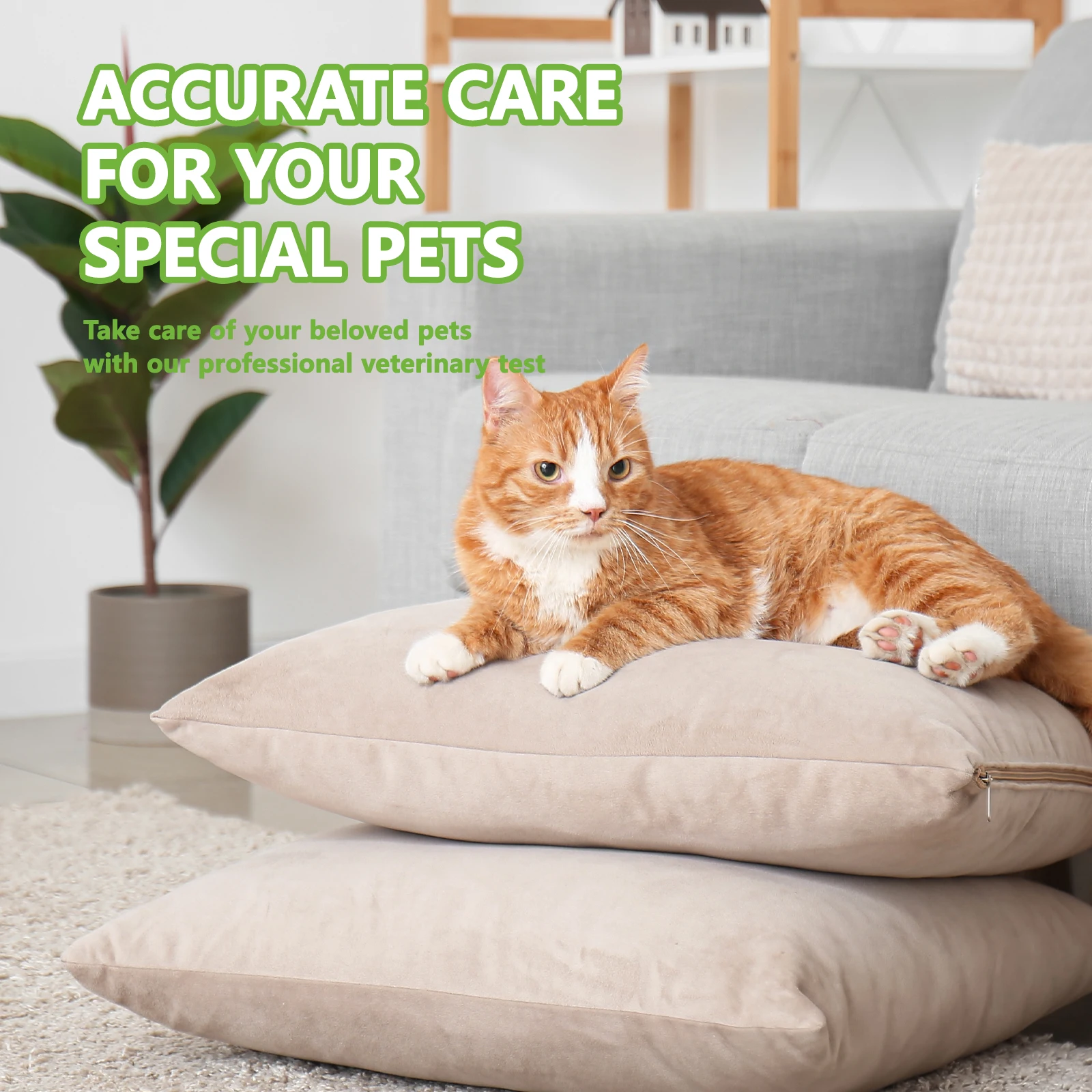 10 Pcs Feline HERPESVIRUS FHV-Ag Rapid Test Kit Cats Kitten Home Health Test