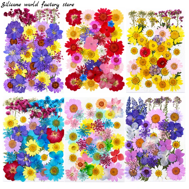 1Bag Dried Flowers Pressed Flowers Stickers for DIY Phone Case Epoxy Resin  Filling Pendant Jewelry Making Crafts Nail Art Decor - AliExpress