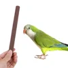 1pc Parrot Toys Cage Bird Perch Parrot Stand Platform Chew Toy Paw Grinding Clean Bird Toys for Bites Parakeet Random Color 2