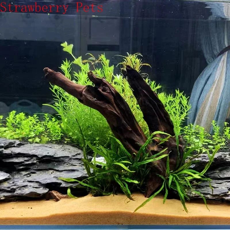 Legni Affondabili Per Acquario - Decorazioni Naturali Per Pesci E Tartarughe Con Benefici Per L'Acqua - Foto 3