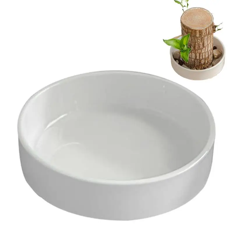 Brazilian Wood Pallet Desk Decor Elegant Saucer Hydroponic Plant Tray hydroponic germination tray hydroponic gardening kit hydroponic planting tools hydroponic planting basket Versatile Brazilian Wood Plant Plates Chic Jewelry Tray